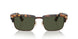 110231 - Tortoise - Green