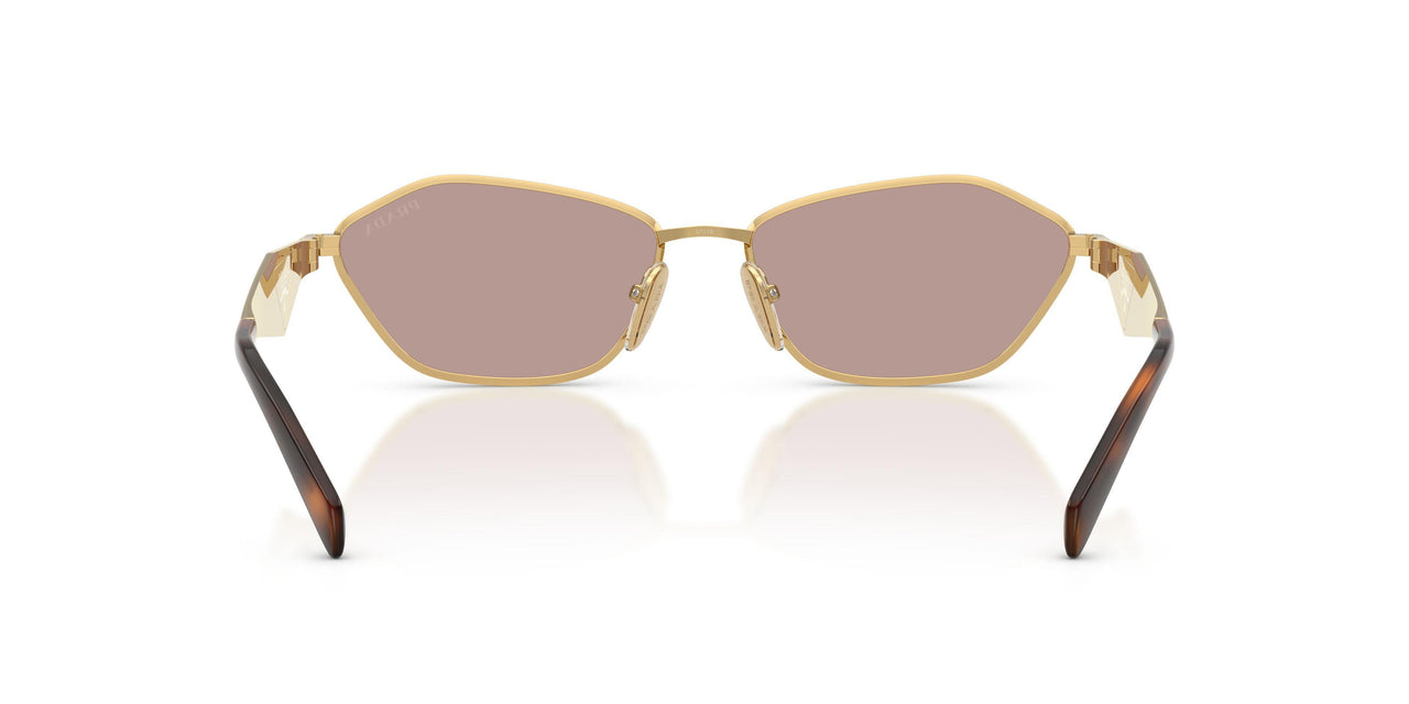 5AK20I - Gold - Light Purple Brown