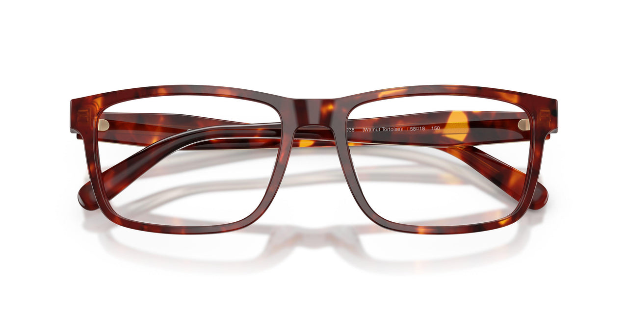 5938 - Tortoise