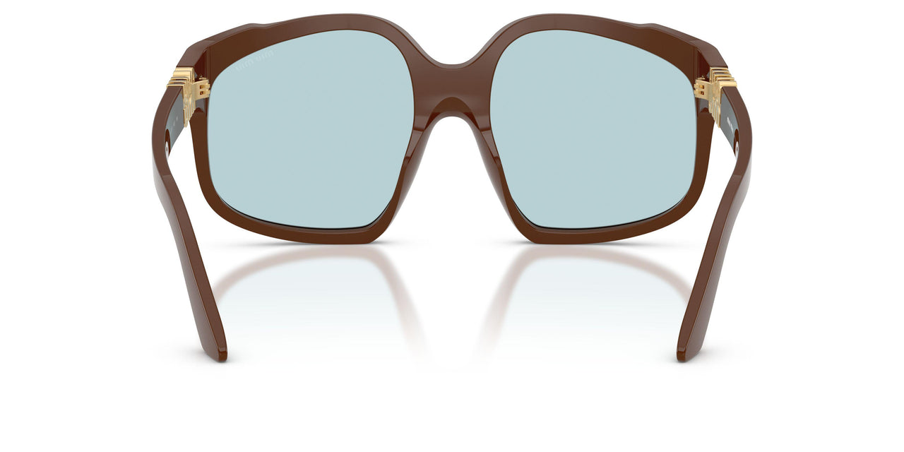 24D20R - Brown - Light Blue