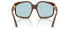 24D20R - Brown - Light Blue