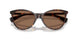 500373 - Brown - Brown