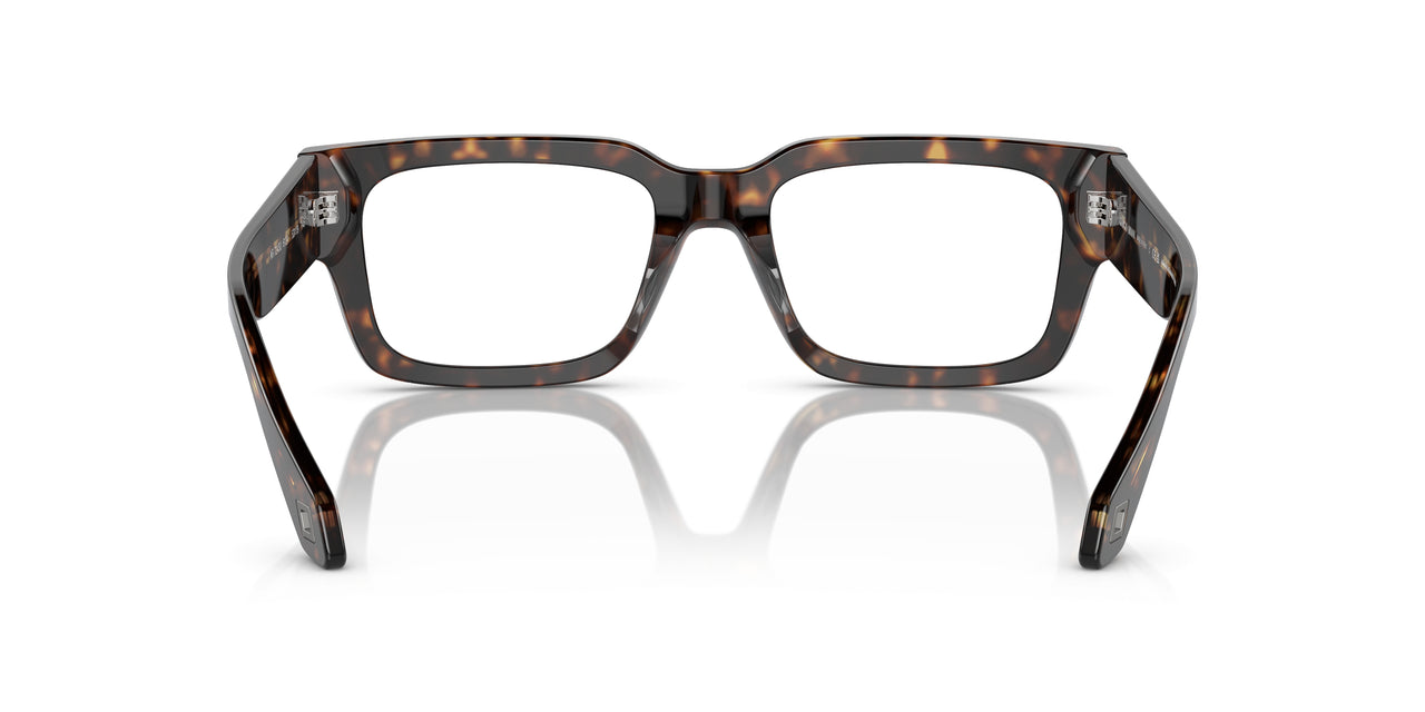 6124 - Tortoise