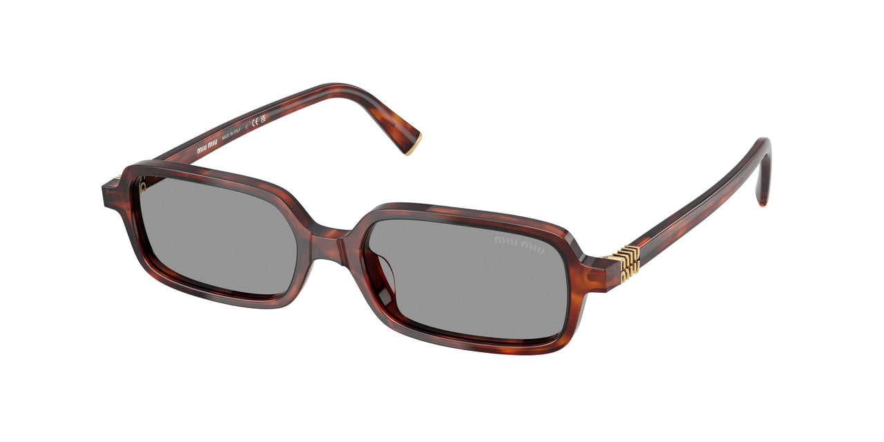 21C40O - Tortoise - Grey