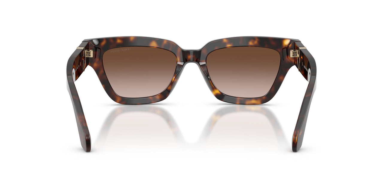587913 - Tortoise - Gradient Brown