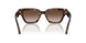 587913 - Tortoise - Gradient Brown