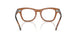 3923 - Brown