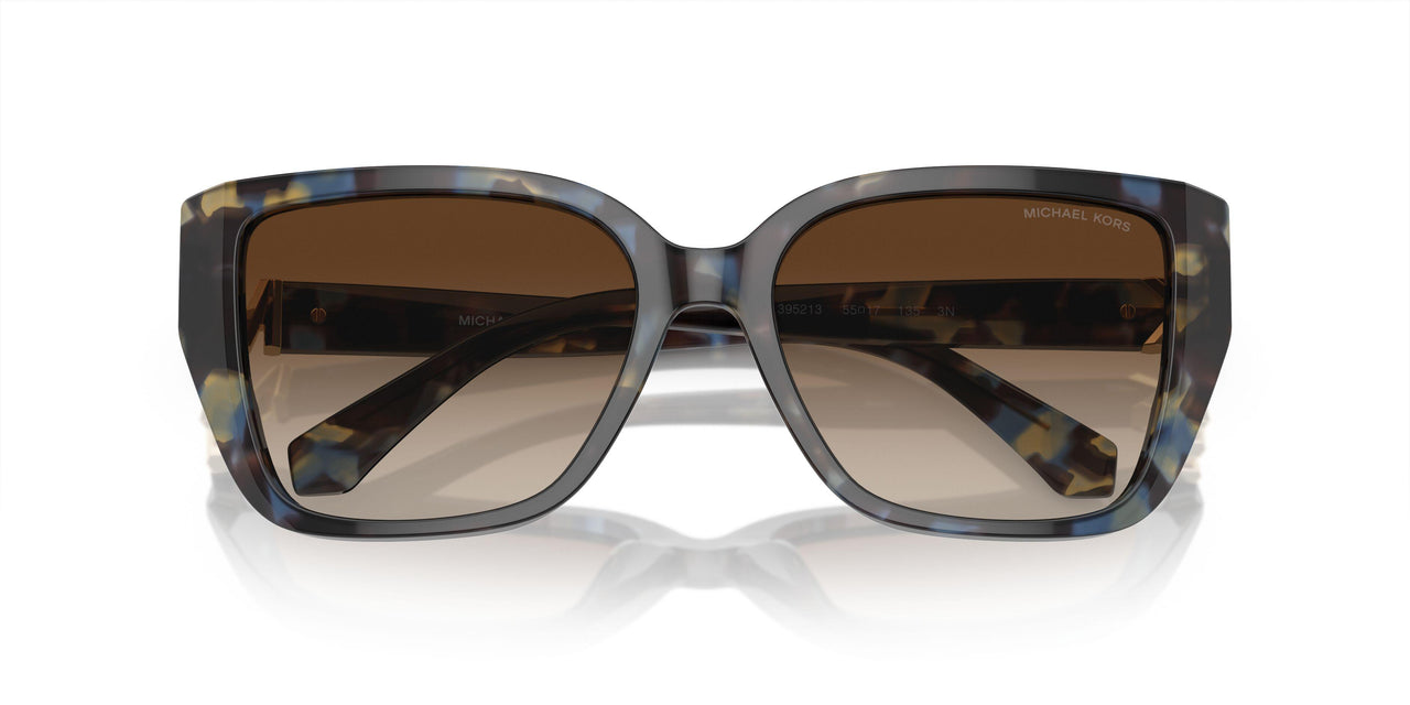 395213 - Bright Blue Tortoise - Brown Gradient