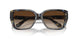 395213 - Bright Blue Tortoise - Brown Gradient