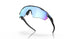 900123 - Black - Prizm Deep Water Polarized