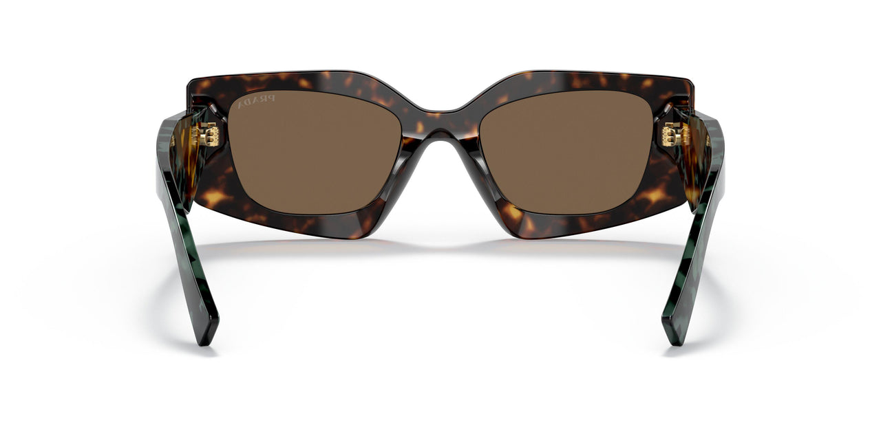 2AU06B - Havana - Dark Brown