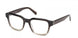 Gant 50118 Eyeglasses