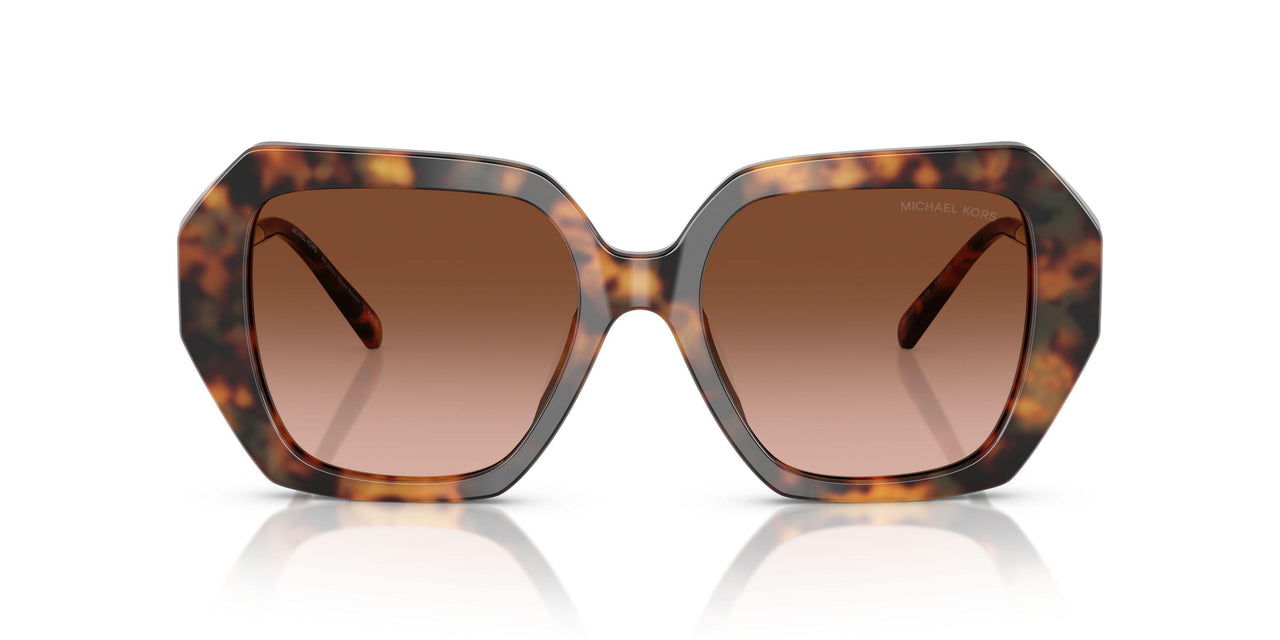39043B - Tortoise - Brown Gradient