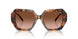 39043B - Tortoise - Brown Gradient