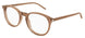 027 - Brown - Transparent