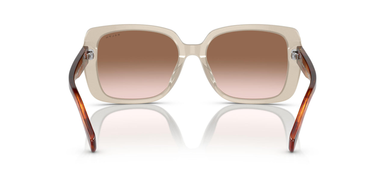 606113 - Brown - Gradient Brown