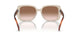 606113 - Brown - Gradient Brown