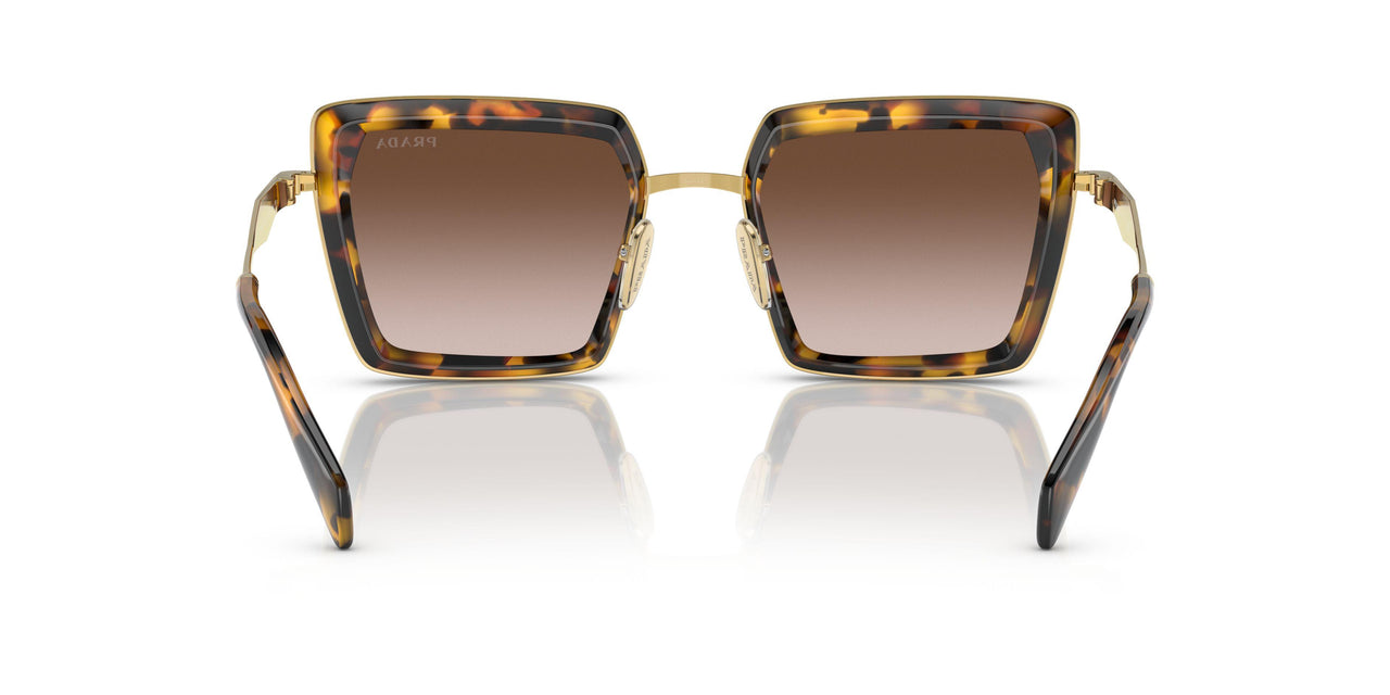 VAU6S1 - Havana - Brown Gradient