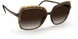6230 - Havanna Mahogany - SLM RED BROWN GRADIENT