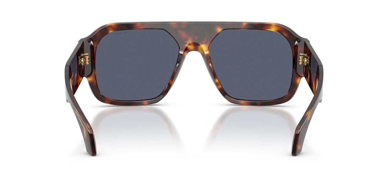 55372V - Tortoise - Dark Blue Polar
