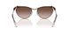 400213 - Brown - Brown Gradient