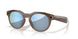 800206 - Brown - Prizm Deep Water Polarized