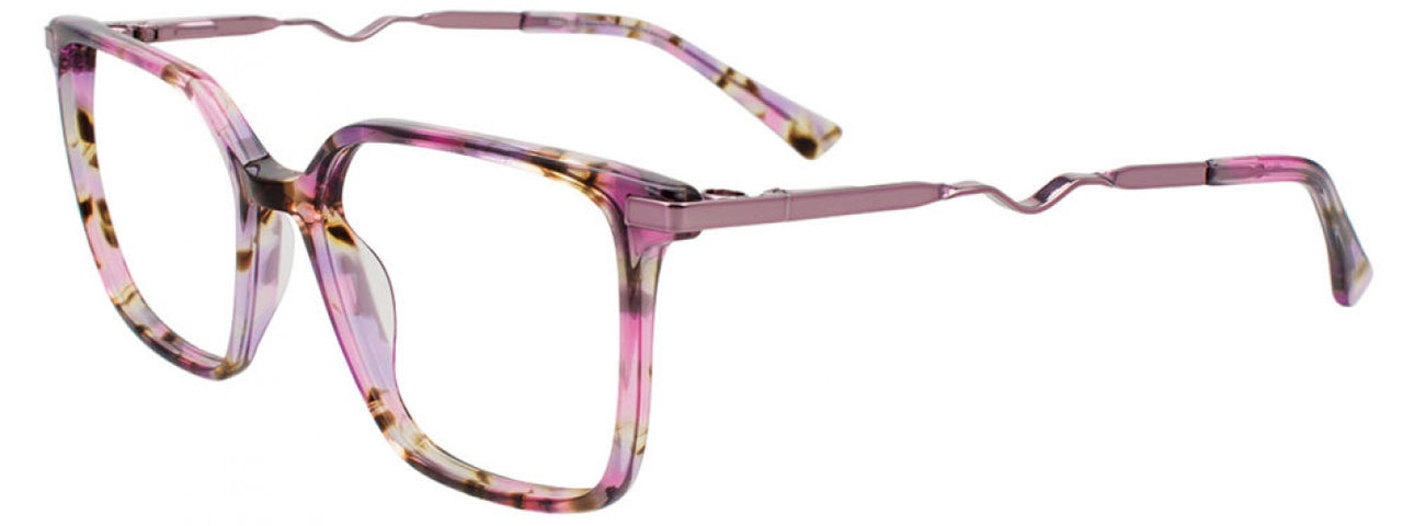 30 - Pink Tortoise