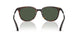 30029A - Tortoise - Polar Solid Green