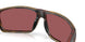 912912 - Tortoise - Gold Mirror