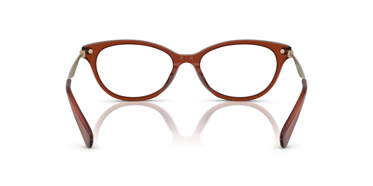 5847 - Brown