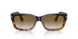 116051 - Brown - Gradient Brown