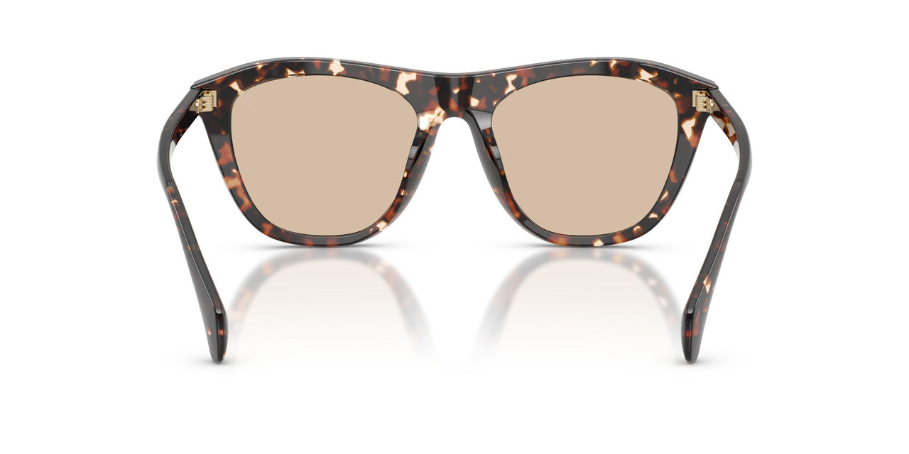 304893 - Tortoise - Solid Light Brown
