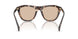 304893 - Tortoise - Solid Light Brown