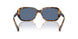 513480 - Tortoise - Dark Blue