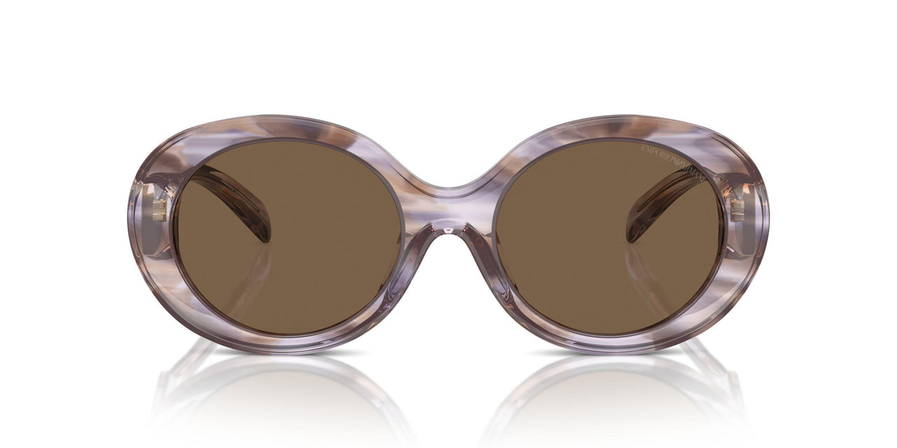 615673 - Tortoise - Dark Brown