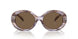615673 - Tortoise - Dark Brown
