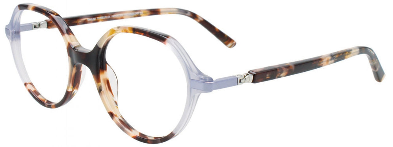 10 - Tortoise & Blue grey
