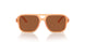 344273 - Orange - Dark Brown