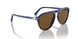 117857 - Multi - Brown Polar
