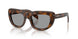 20D50Q - Tortoise - Grey