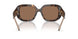 196473 - Tortoise - Brown