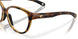 802503 - Tortoise