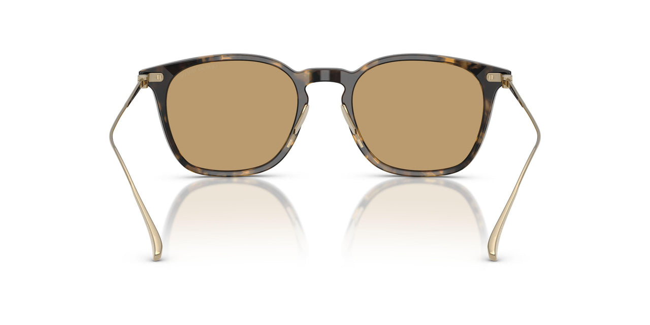 620773 - Tortoise - Brown