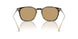 620773 - Tortoise - Brown