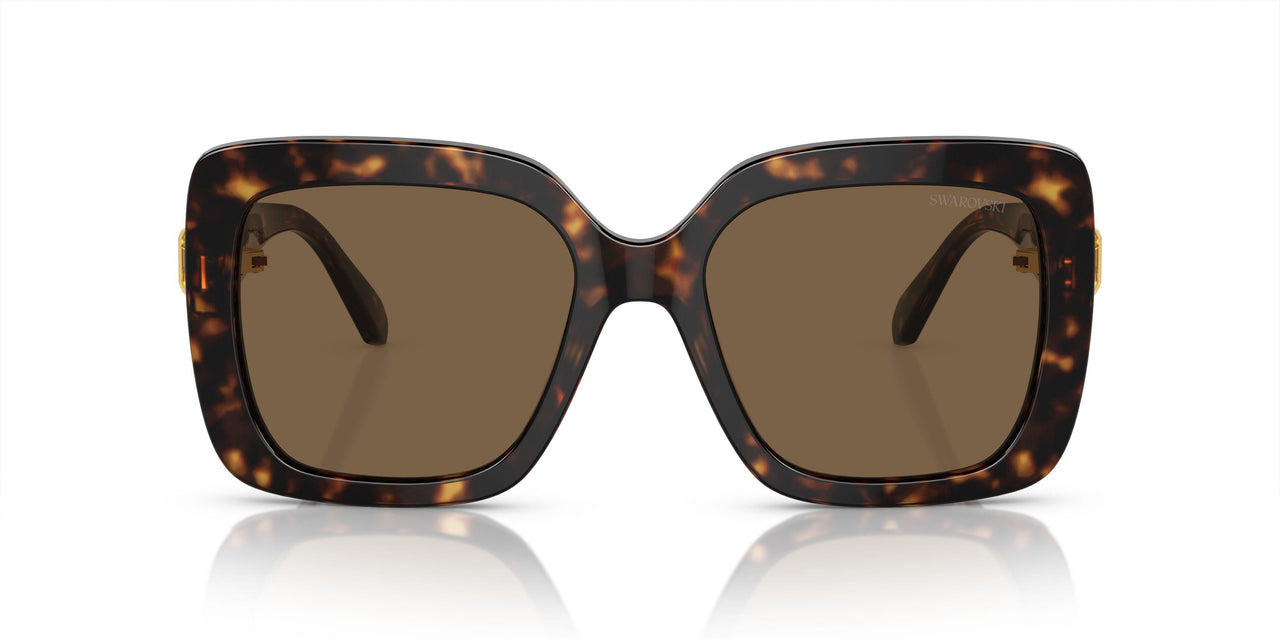 100273 - Tortoise - Dark Brown