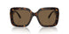 100273 - Tortoise - Dark Brown