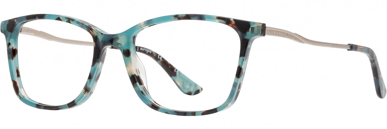3 - Aqua Tortoise / Silver