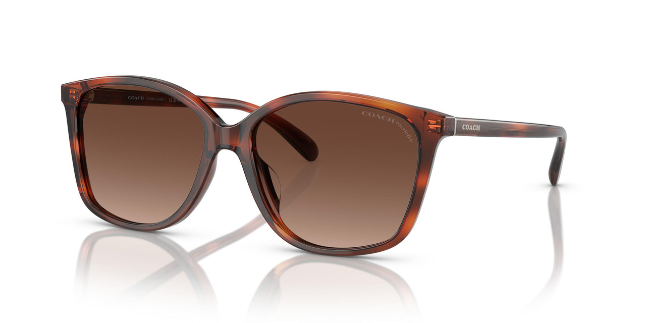 5741T5 - Tortoise - Brown Gradient Polarized