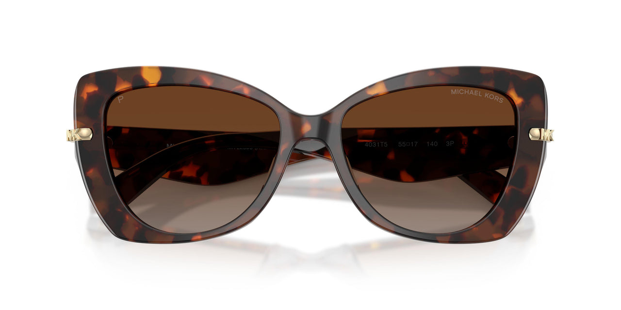 4031T5 - Tortoise - Brown Gradient Polar