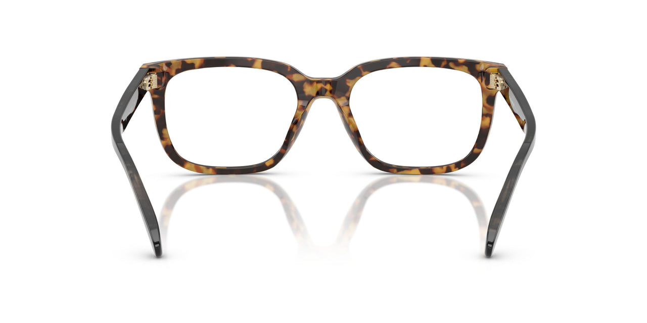 5881 - Tortoise